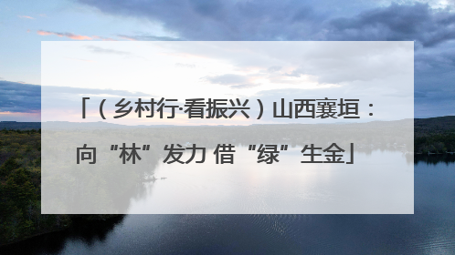 （乡村行·看振兴）山西襄垣：向“林”发力 借“绿”生金
