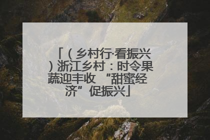 （乡村行·看振兴）浙江乡村：时令果蔬迎丰收 “甜蜜经济”促振兴