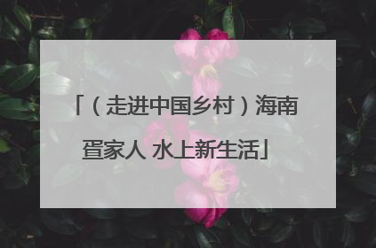 （走进中国乡村）海南疍家人 水上新生活