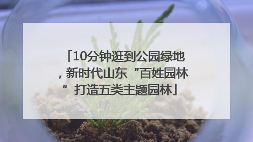 10分钟逛到公园绿地，新时代山东“百姓园林”打造五类主题园林