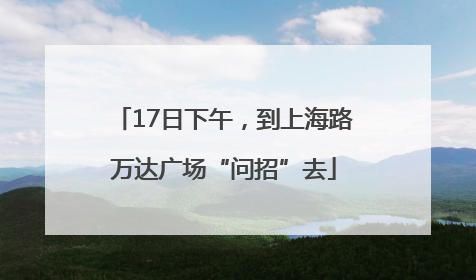 17日下午，到上海路万达广场“问招”去