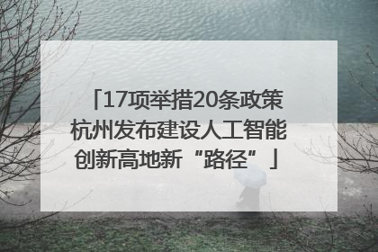 17项举措20条政策 杭州发布建设人工智能创新高地新“路径”