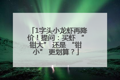 1字头小龙虾再降价！提问：买虾 “钳大” 还是 “钳小” 更划算？