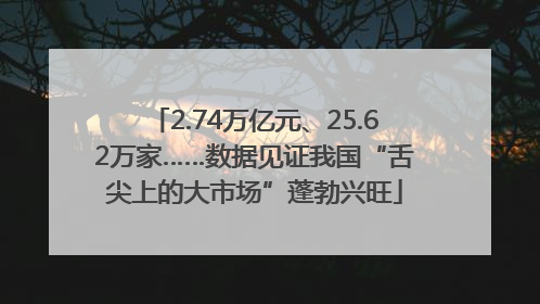 2.74万亿元、25.62万家……数据见证我国“舌尖上的大市场”蓬勃兴旺