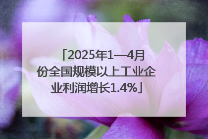 2025年1—4月份全国规模以上工业企业利润增长1.4%