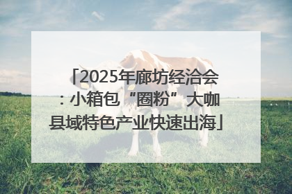 2025年廊坊经洽会：小箱包“圈粉”大咖 县域特色产业快速出海