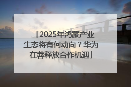 2025年鸿蒙产业生态将有何动向？华为在蓉释放合作机遇