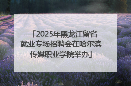 2025年黑龙江留省就业专场招聘会在哈尔滨传媒职业学院举办