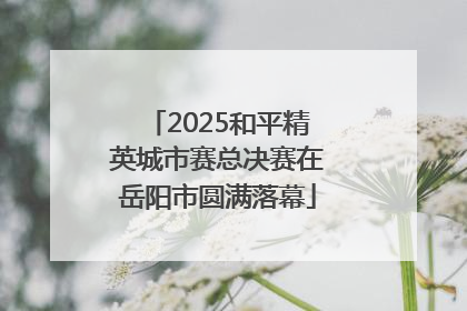2025和平精英城市赛总决赛在岳阳市圆满落幕