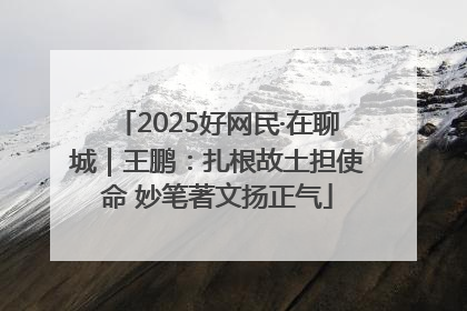 2025好网民·在聊城｜王鹏：扎根故土担使命 妙笔著文扬正气