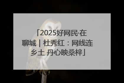 2025好网民·在聊城｜杜秀红：网线连乡土 丹心映桑梓