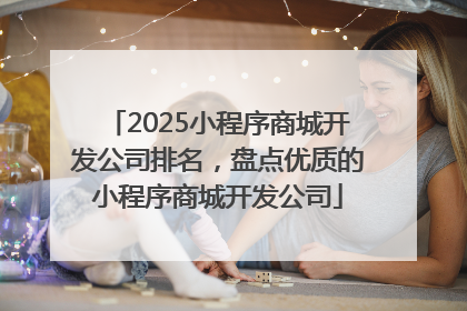 2025小程序商城开发公司排名，盘点优质的小程序商城开发公司