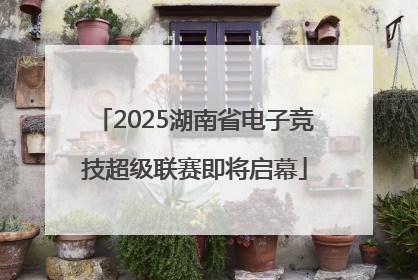 2025湖南省电子竞技超级联赛即将启幕