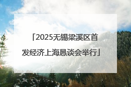 2025无锡梁溪区首发经济上海恳谈会举行
