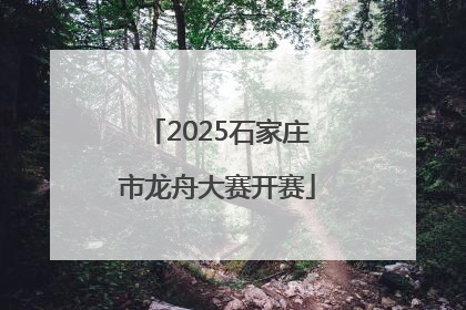 2025石家庄市龙舟大赛开赛