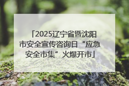 2025辽宁省暨沈阳市安全宣传咨询日“应急安全市集”火爆开市