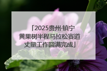 2025贵州·镇宁黄果树半程马拉松赛道丈量工作圆满完成