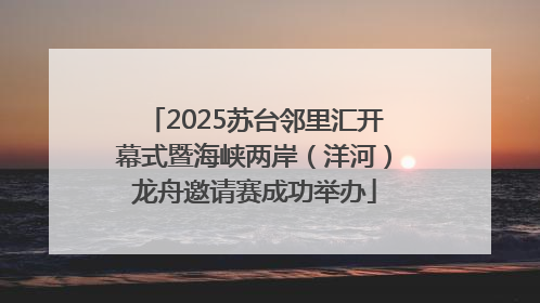 2025苏台邻里汇开幕式暨海峡两岸（洋河）龙舟邀请赛成功举办
