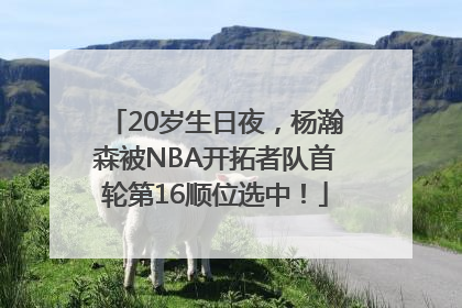 20岁生日夜，杨瀚森被NBA开拓者队首轮第16顺位选中！