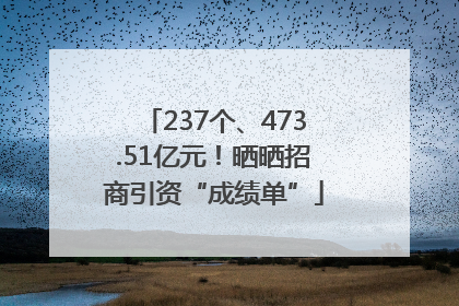 237个、473.51亿元！晒晒招商引资“成绩单”