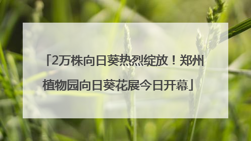 2万株向日葵热烈绽放！郑州植物园向日葵花展今日开幕