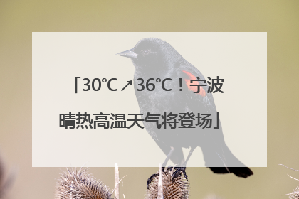 30℃↗36℃！宁波晴热高温天气将登场