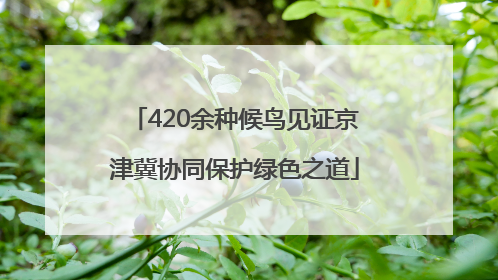 420余种候鸟见证京津冀协同保护绿色之道