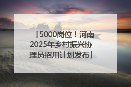5000岗位！河南2025年乡村振兴协理员招用计划发布