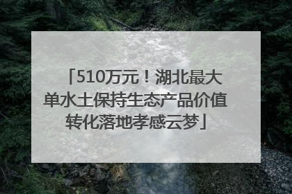 510万元！湖北最大单水土保持生态产品价值转化落地孝感云梦