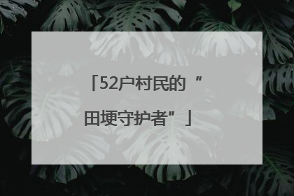 52户村民的“田埂守护者”