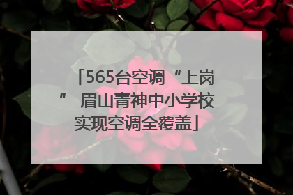 565台空调“上岗” 眉山青神中小学校实现空调全覆盖