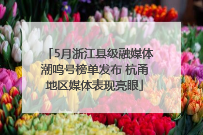 5月浙江县级融媒体潮鸣号榜单发布 杭甬地区媒体表现亮眼