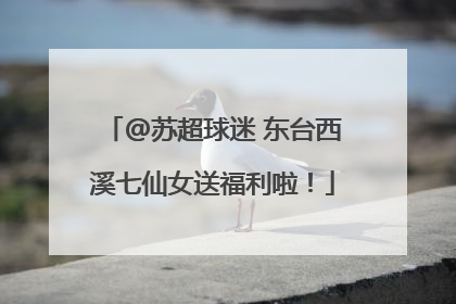 @苏超球迷 东台西溪七仙女送福利啦！