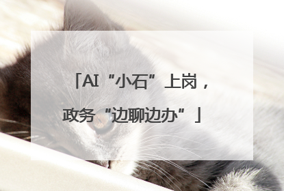 AI“小石”上岗，政务“边聊边办”