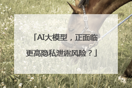 AI大模型，正面临更高隐私泄露风险？