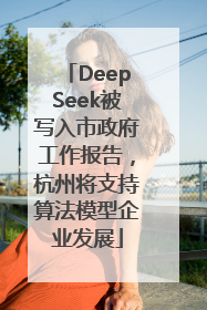 DeepSeek被写入市政府工作报告，杭州将支持算法模型企业发展