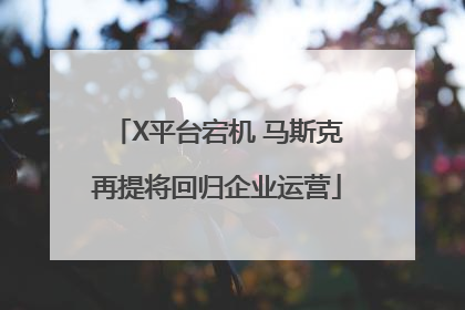 X平台宕机 马斯克再提将回归企业运营